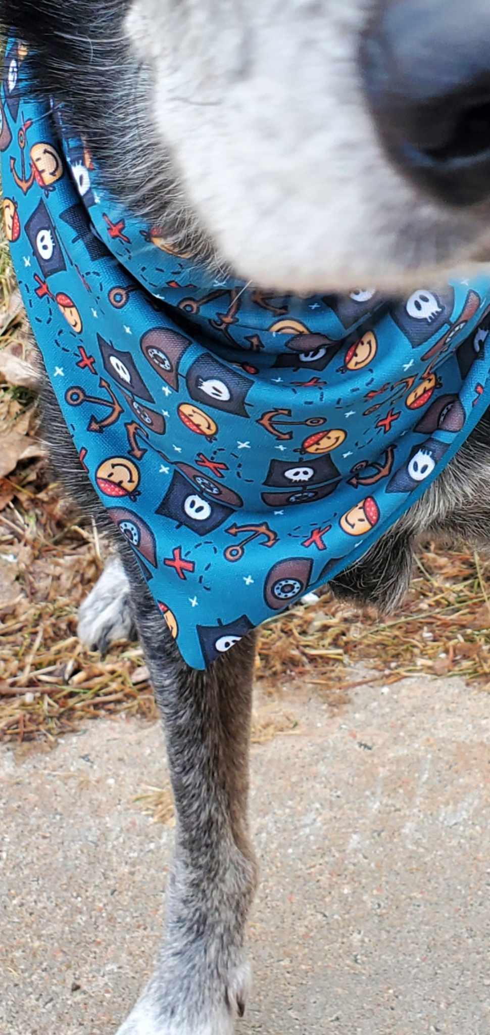 Pirate Smiles Dog Bandana - wrinkle & stain resistant