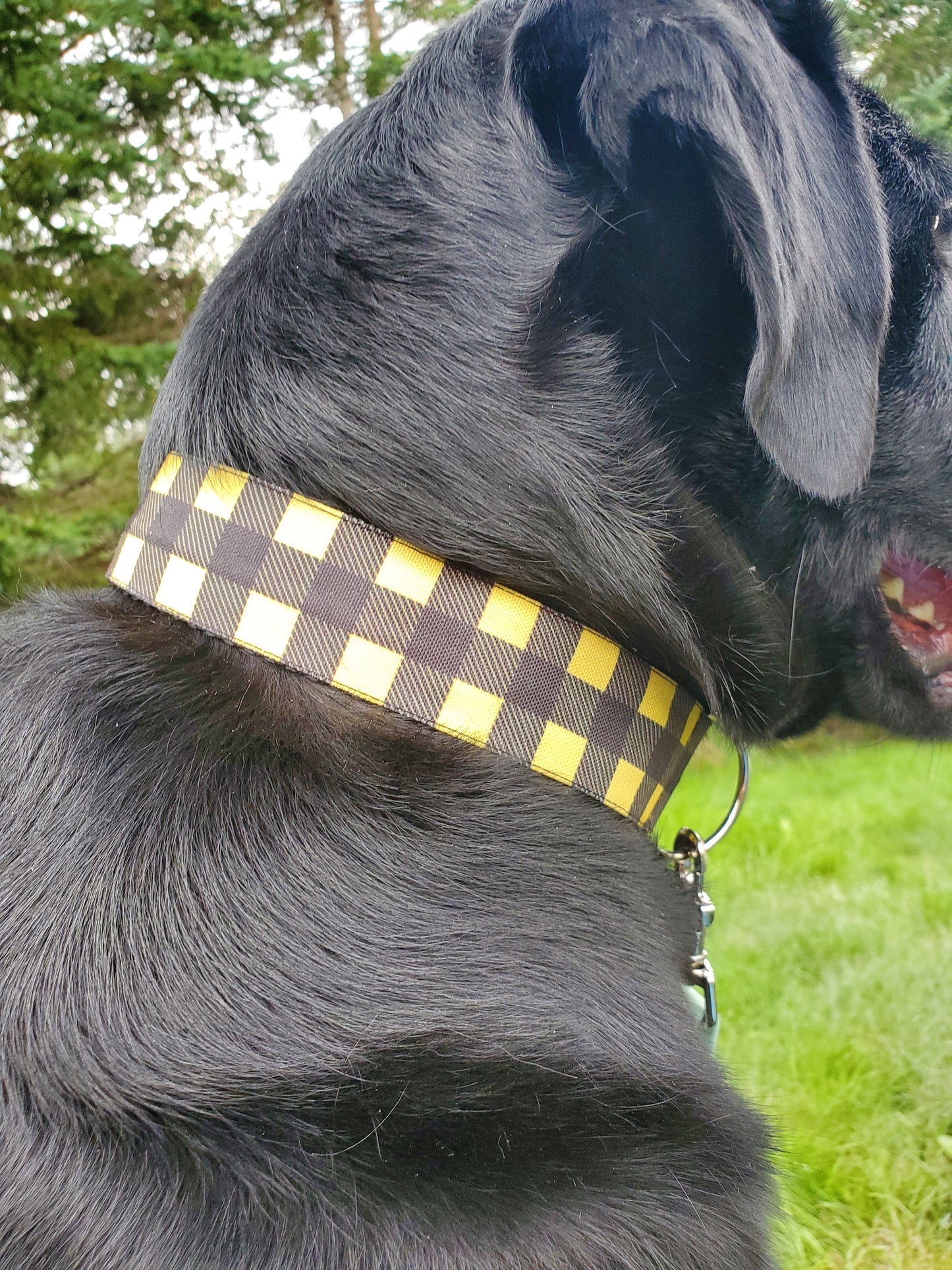 Yellow and Black Buffalo Plaid dog collar