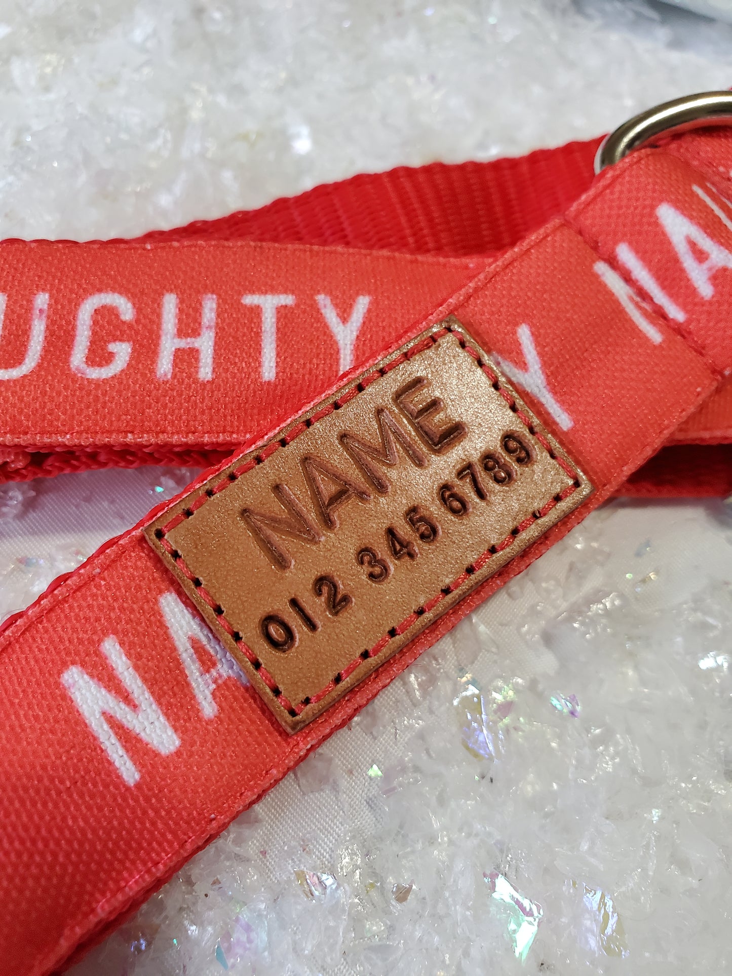 I've Been Naughty dog collar