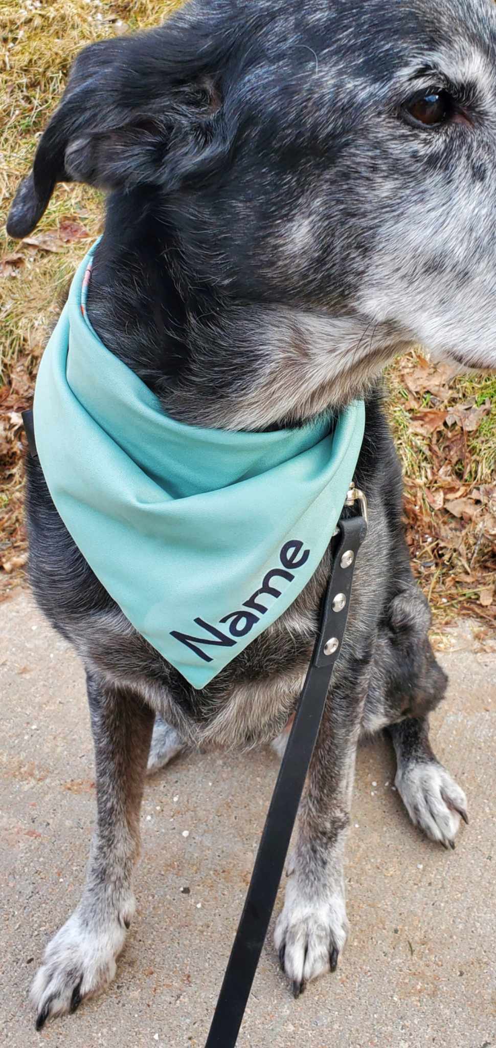 Sage Smiles Dog Bandana - stain & wrinkle resistant