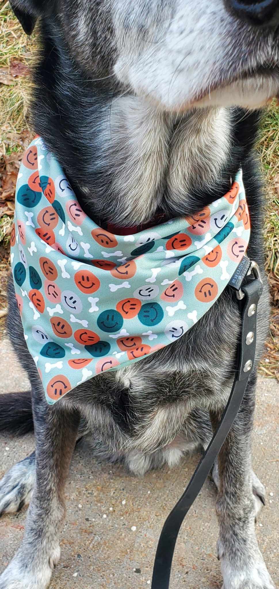 Sage Smiles Dog Bandana - stain & wrinkle resistant