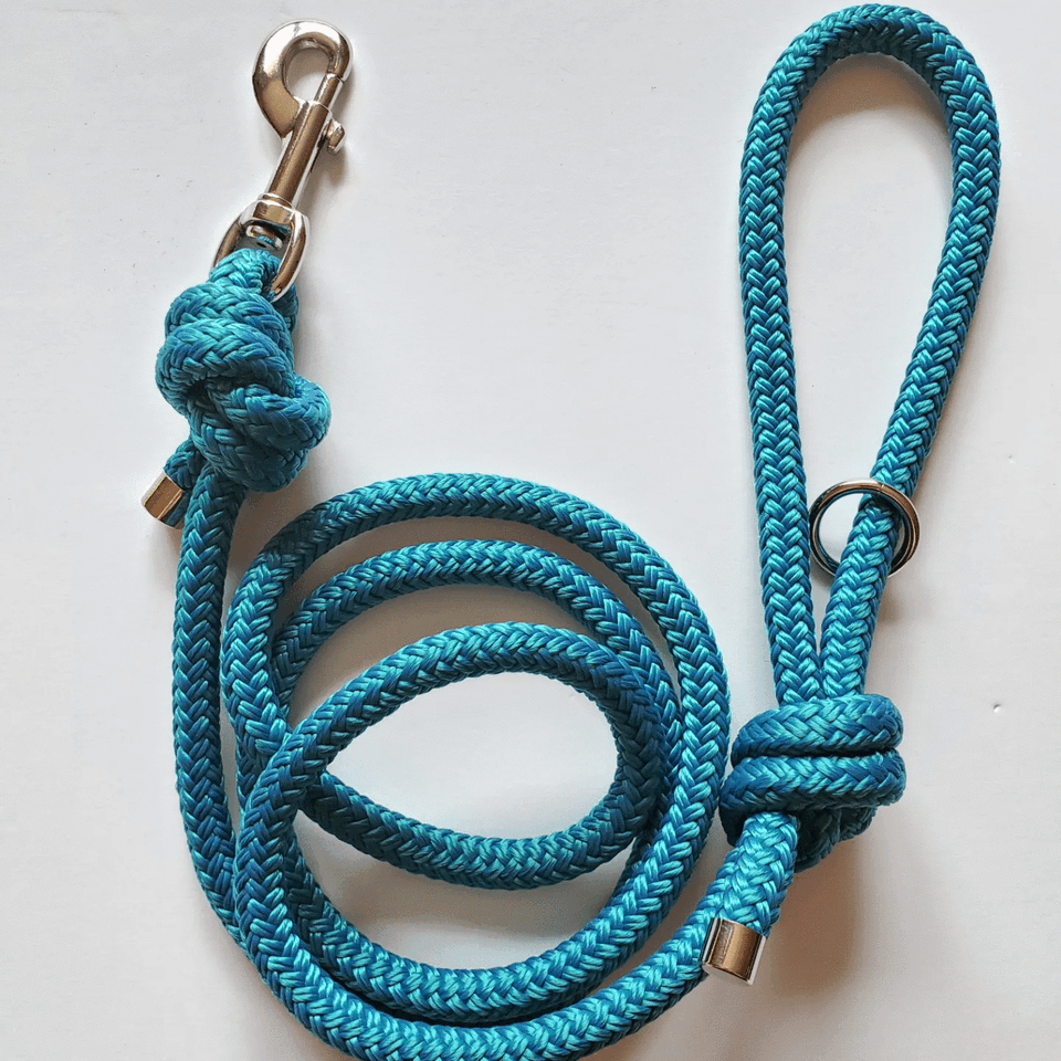 5 foot rope leash - Teal