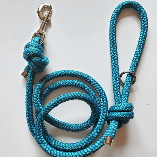 5 foot rope leash - Teal