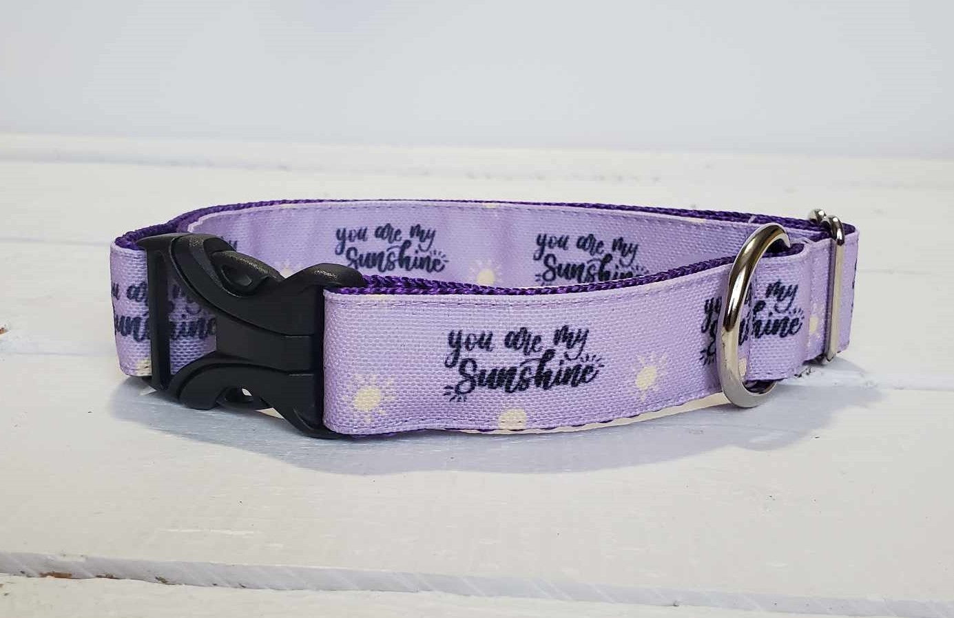 You Are My Sunshine dog collar