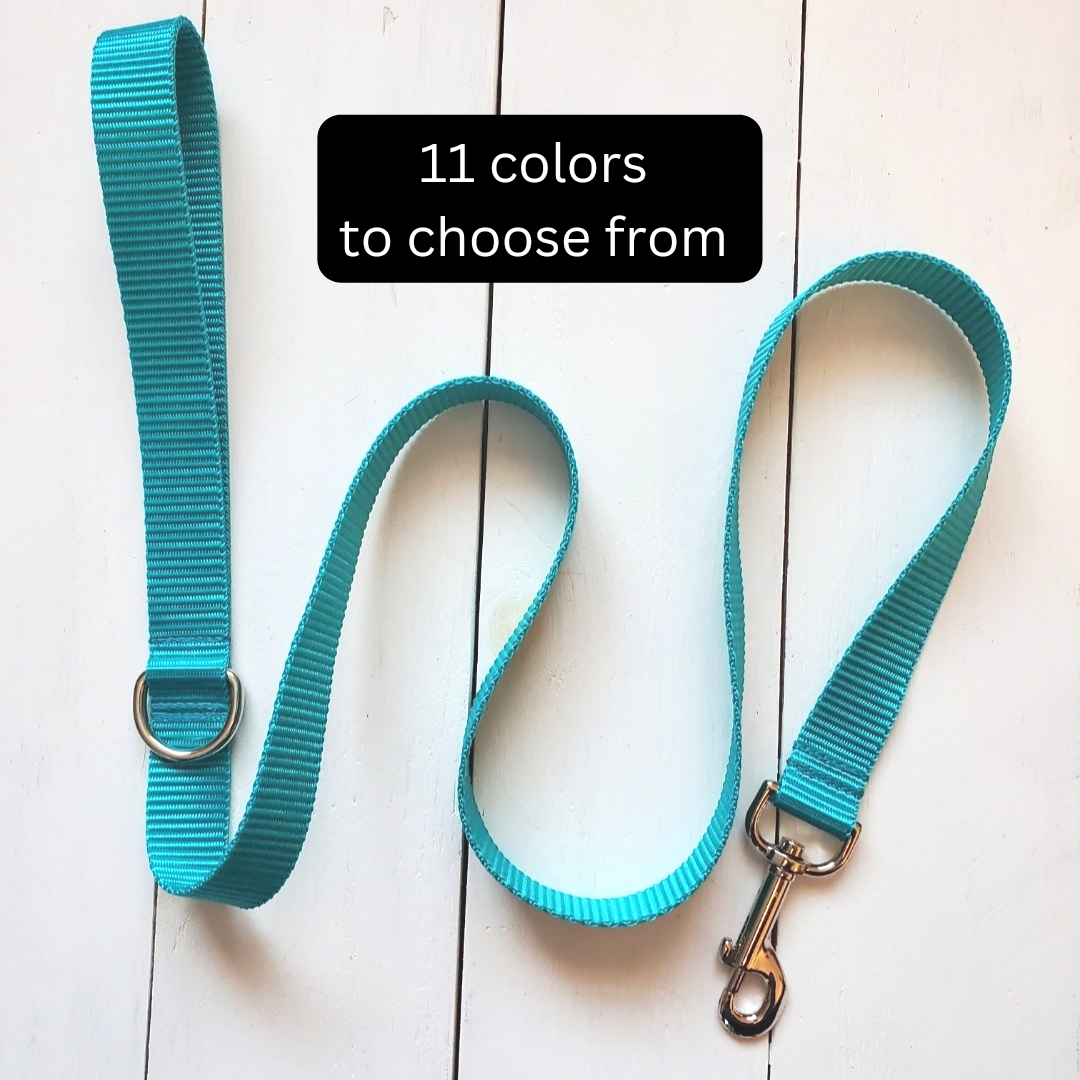 Vibrant Leash - multiple colors to choose from