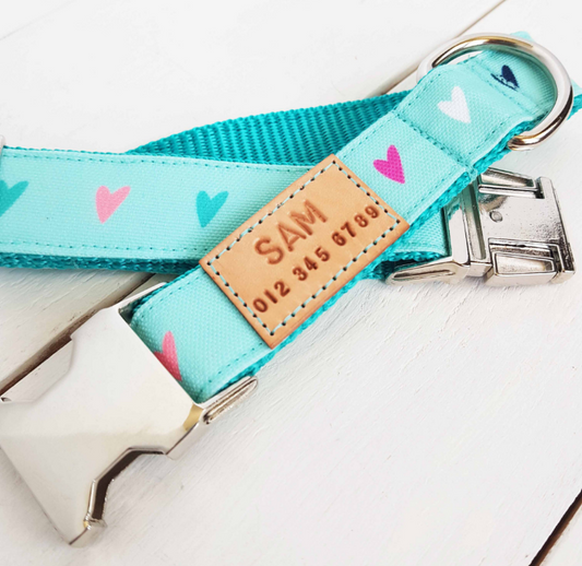 Teal Hearts Dog Collar