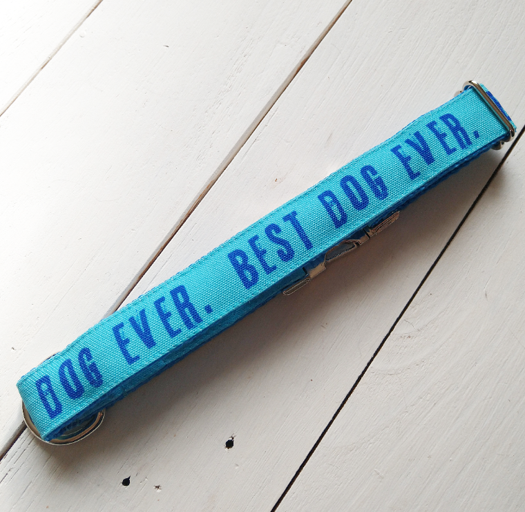 Blue Best Dog Ever dog collar