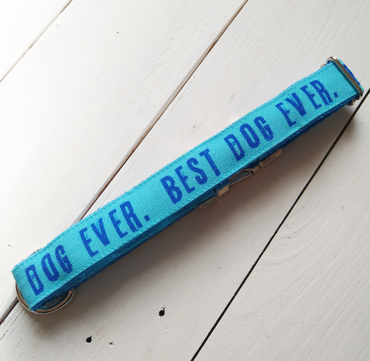 Blue Best Dog Ever dog collar