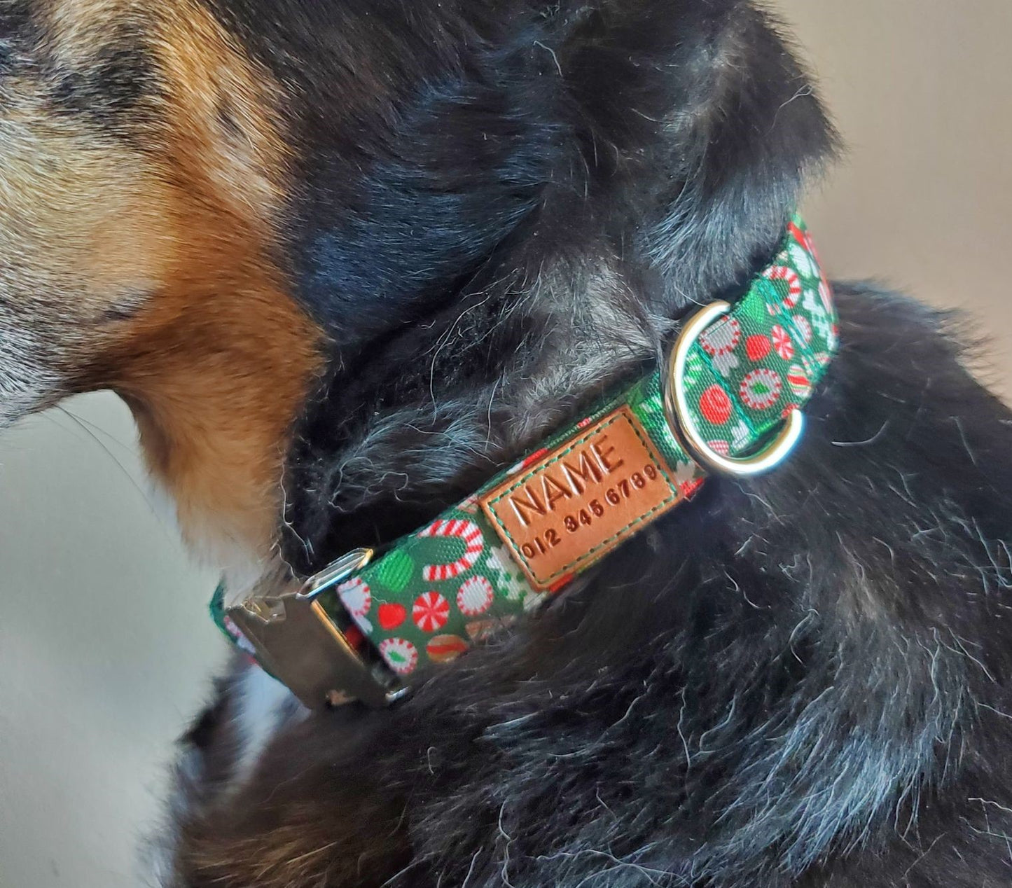Holiday Candy Dog Collar
