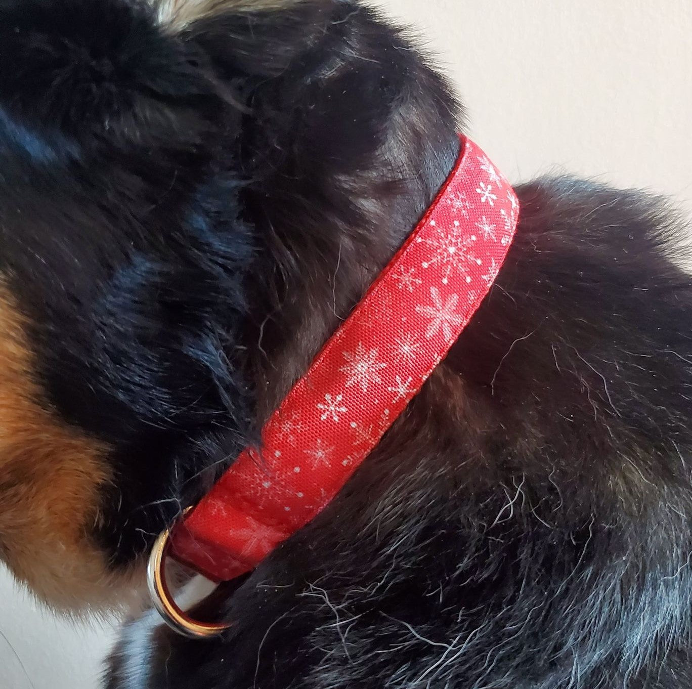 Snowflakes on Red