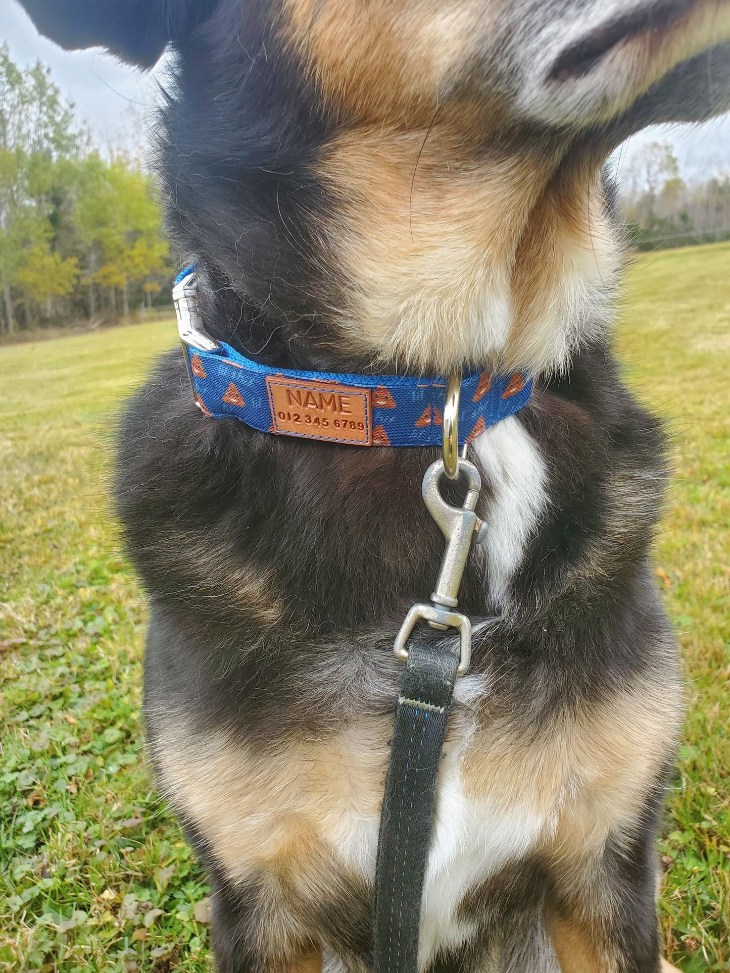 lil shit (with poop emoji) dog collar *Choose your color*