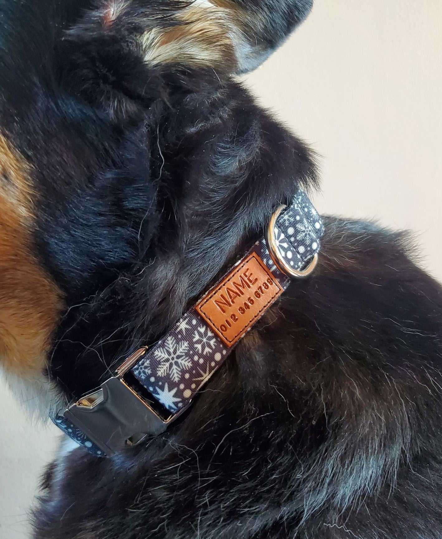 Snowflakes on Black Dog Collar