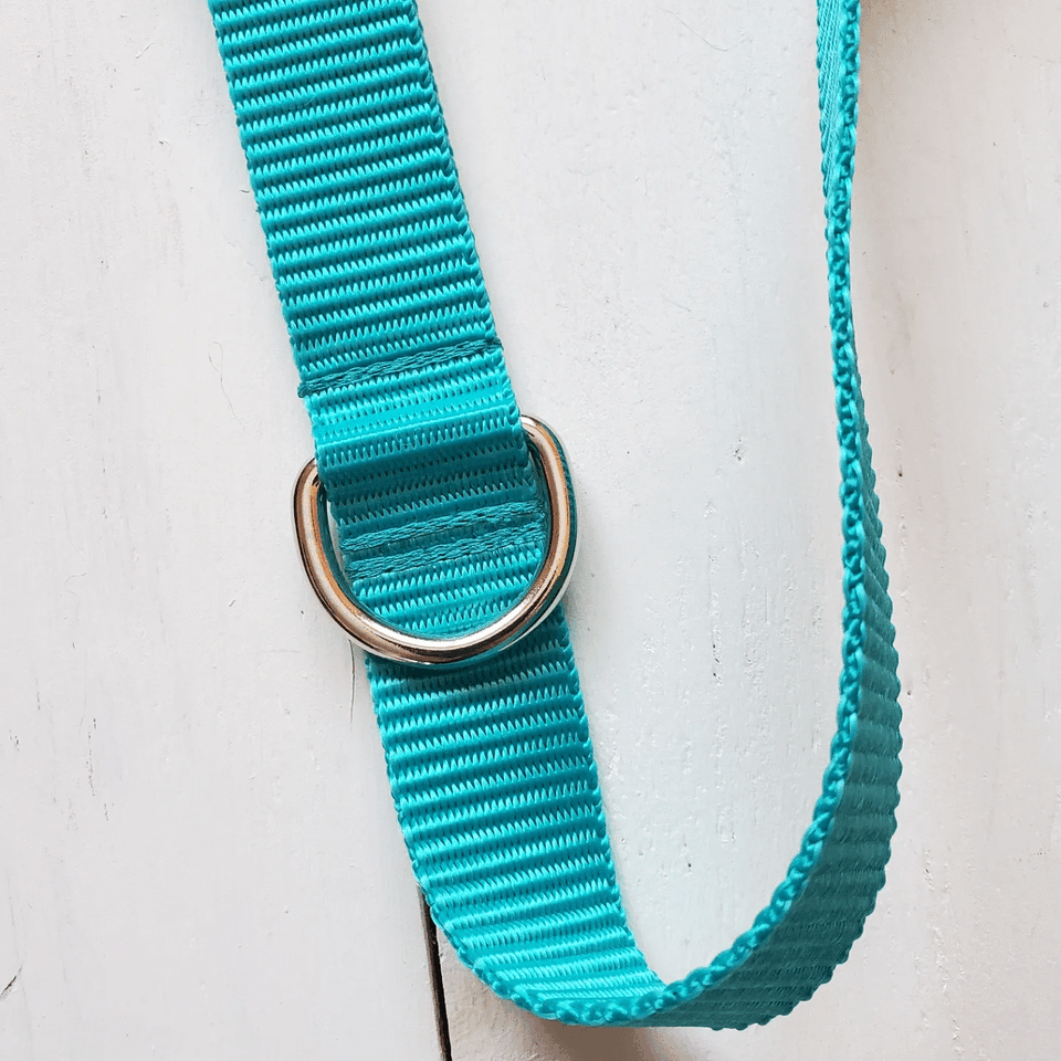 Vibrant Leash - multiple colors to choose from