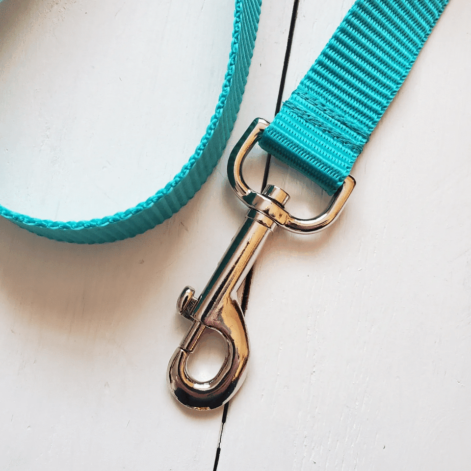 Vibrant Leash - multiple colors to choose from