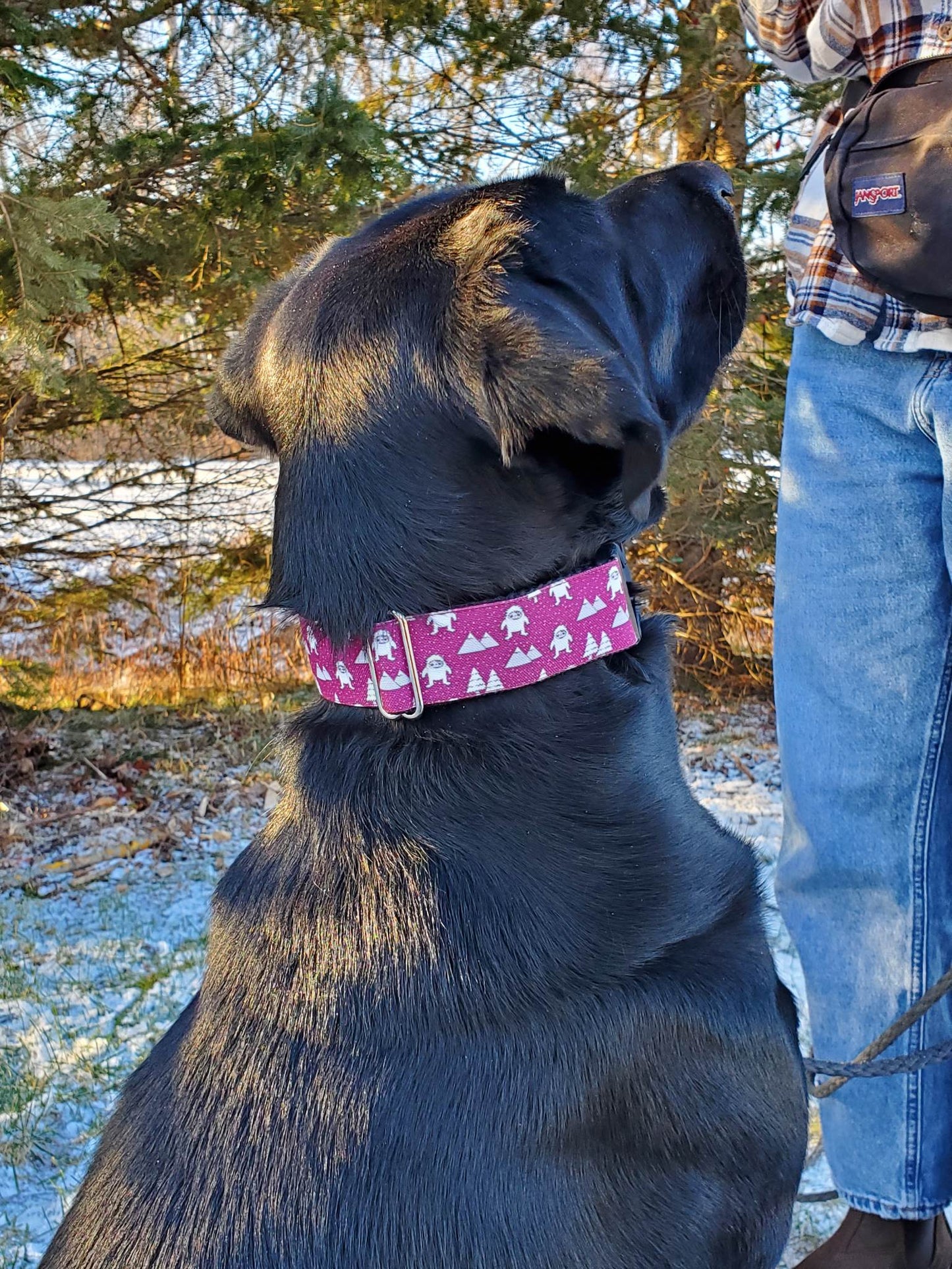Mountain Yeti Dog Collar