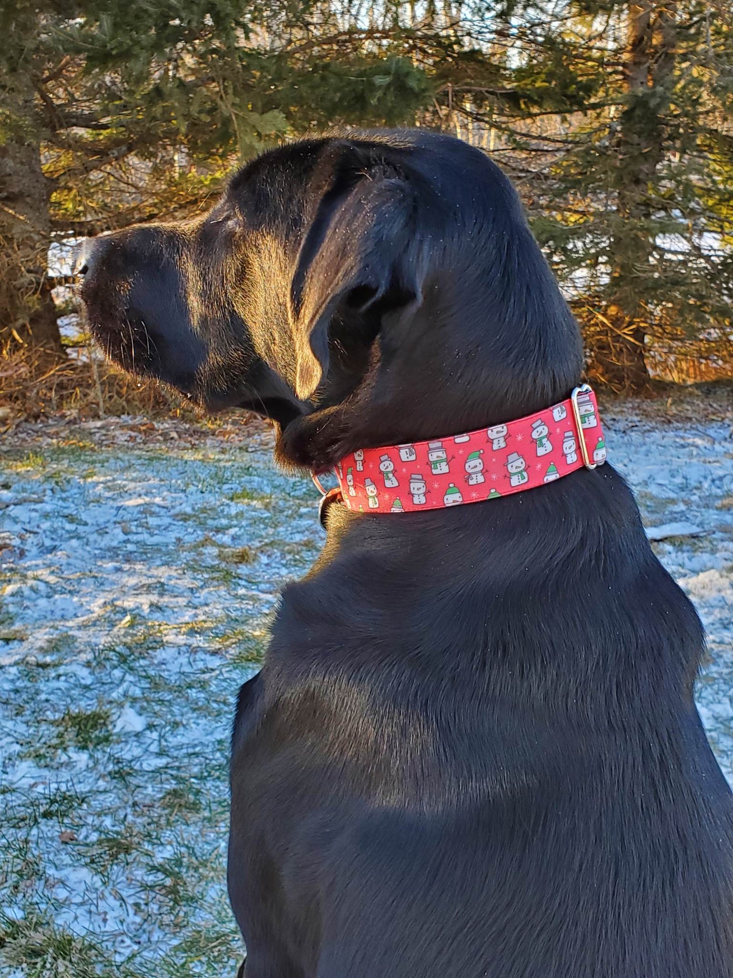 Snowmen In Hats Dog Collar