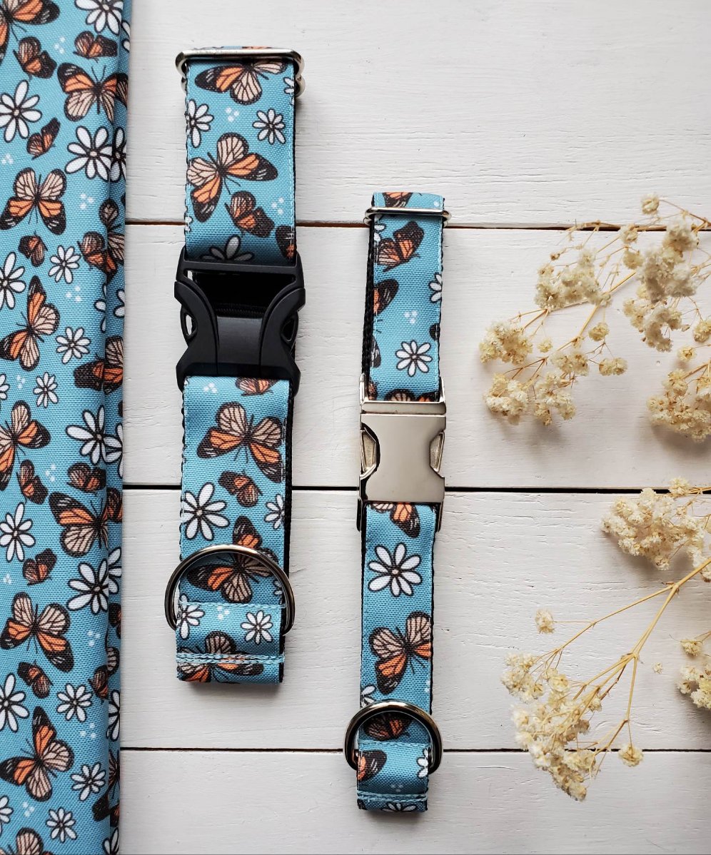 Butterflies & Daisies Dog Collar