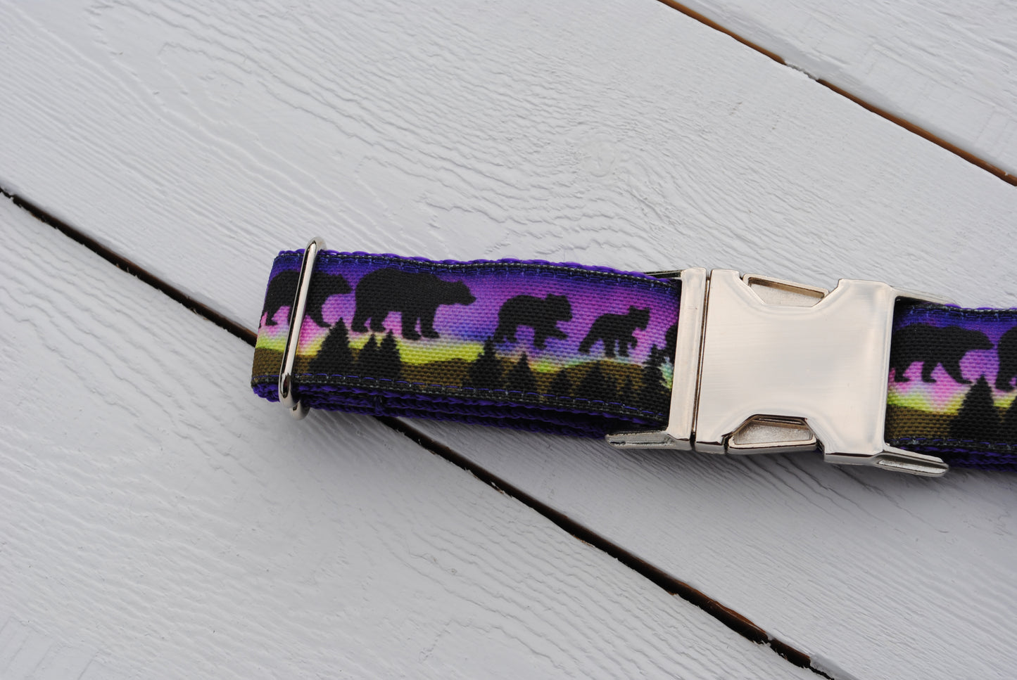 Midnight Bears dog collar