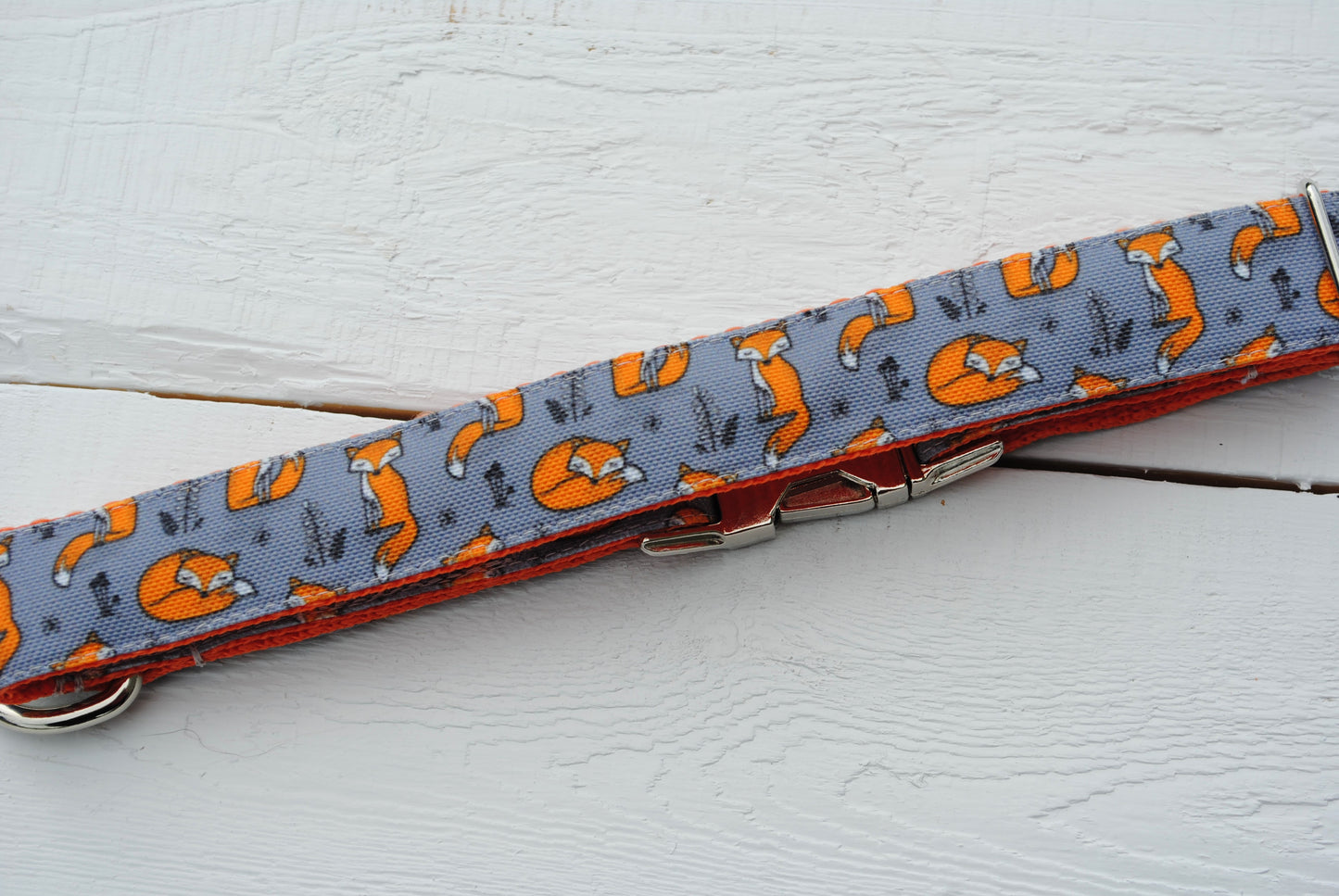 Sleepy Foxes dog collar