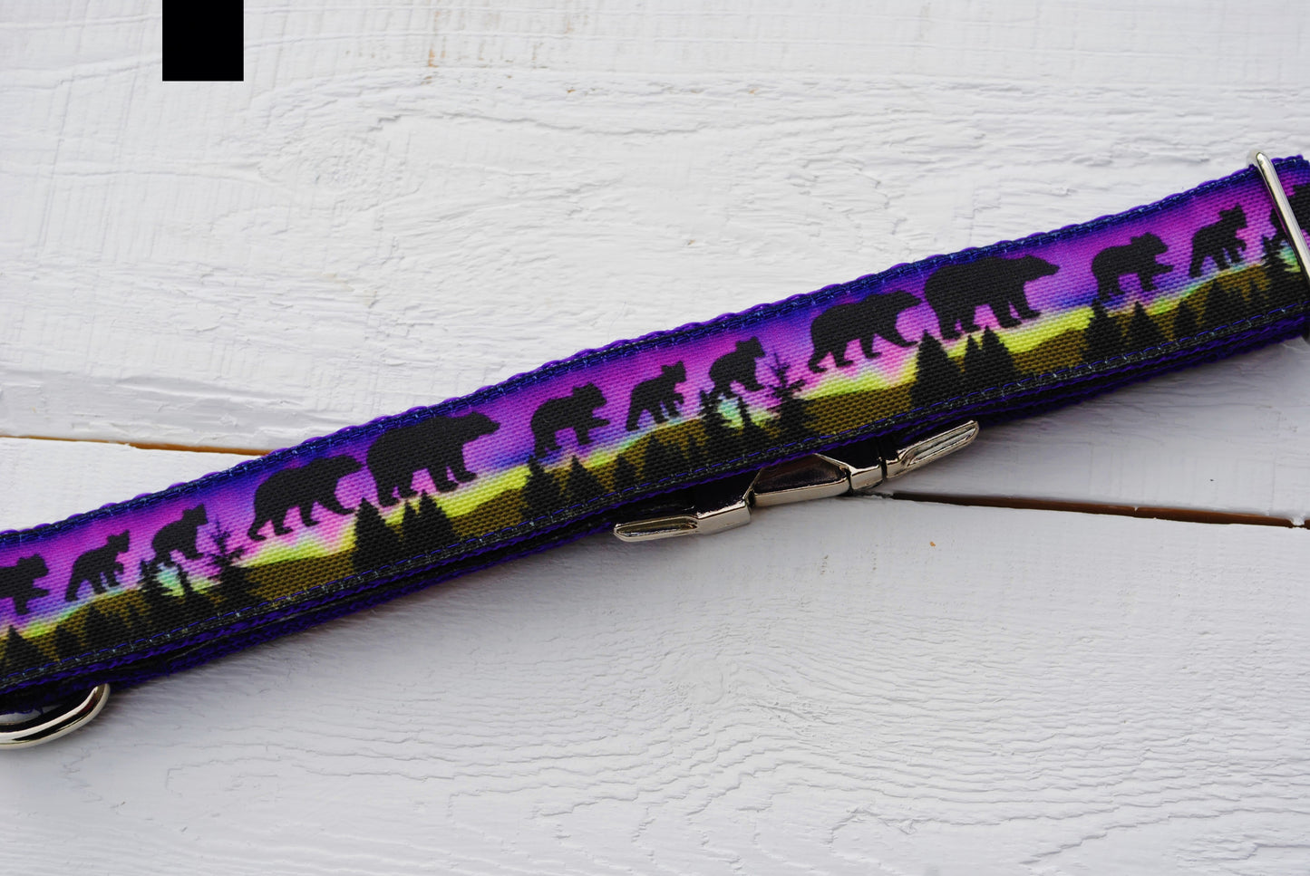 Midnight Bears dog collar