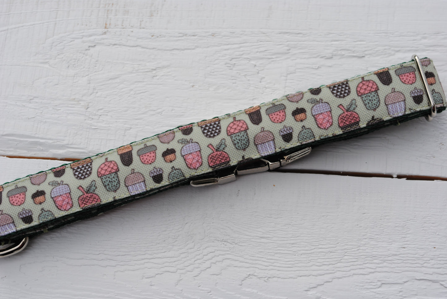 Tiny Acorns dog collar