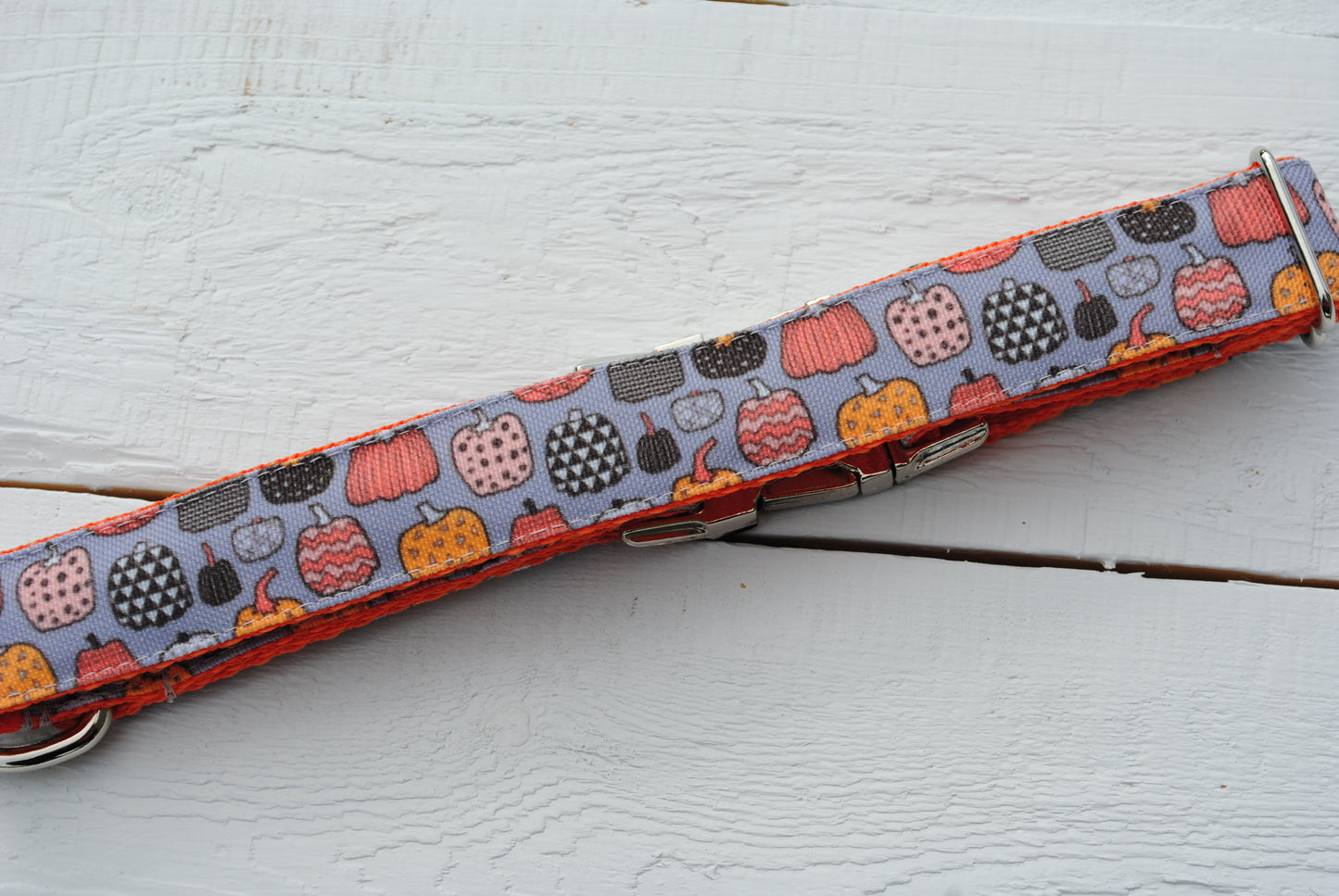 Tiny Pumpkins dog collar