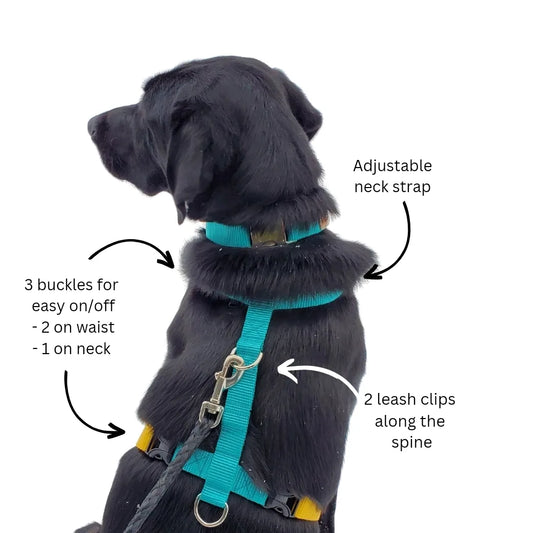 2 tone or 1 tone harness