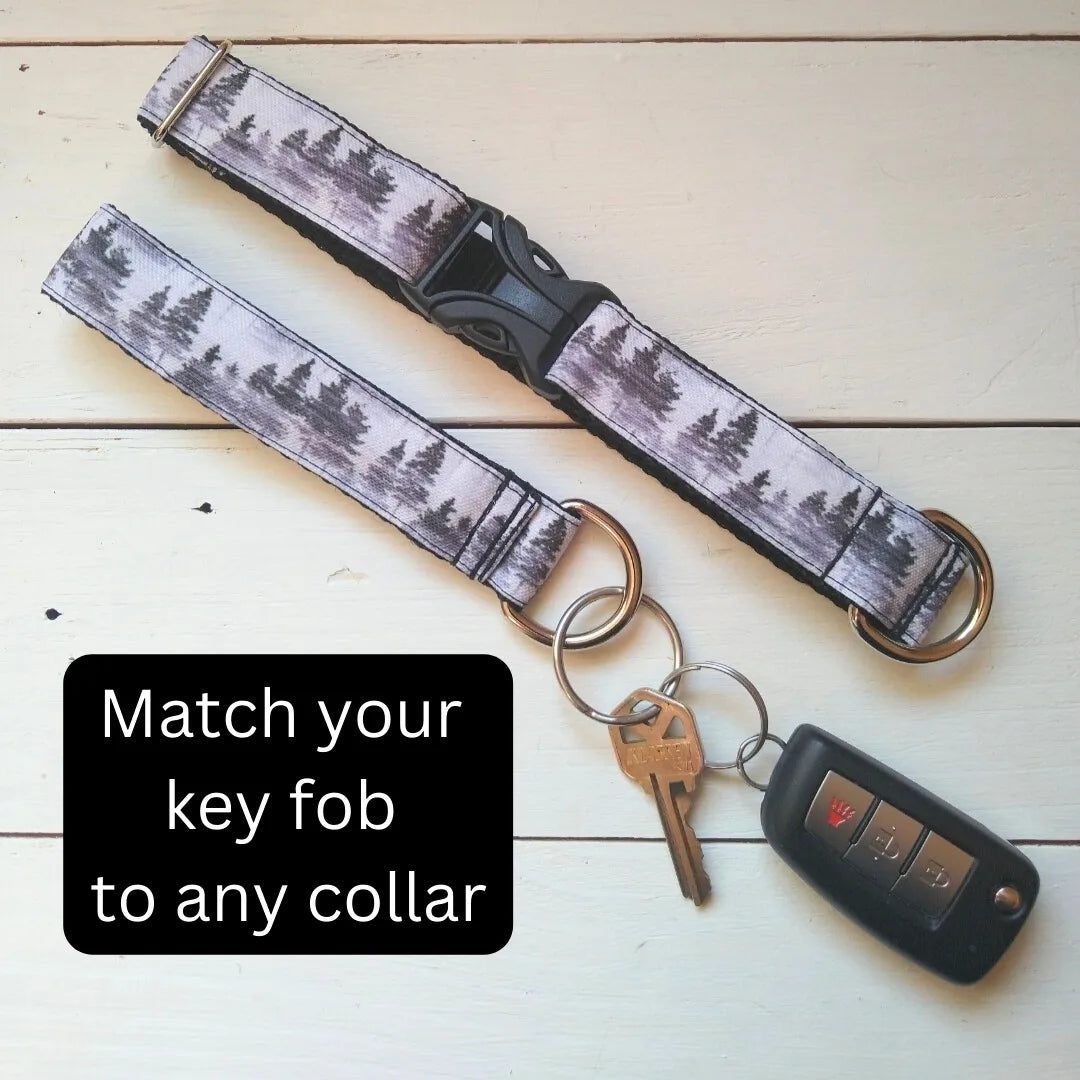 Matching key fobs
