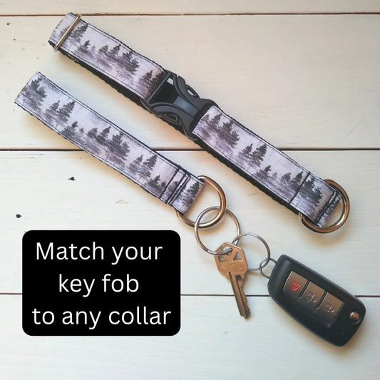 Matching key fobs