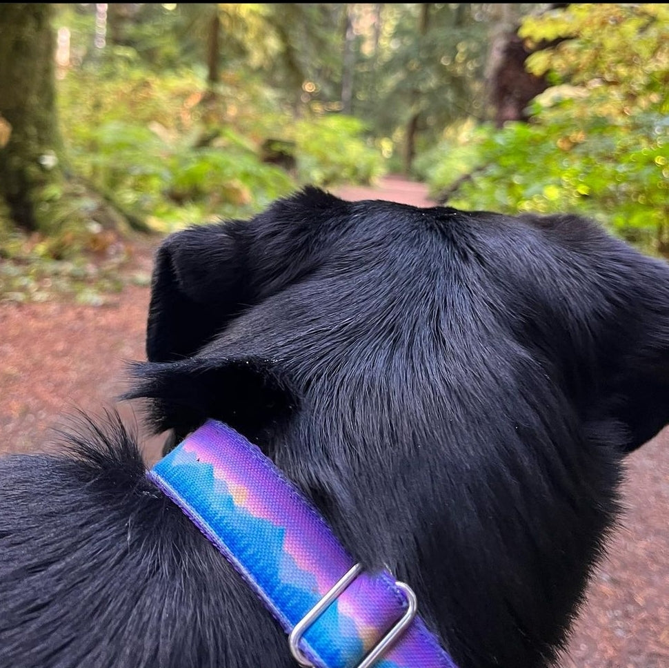 Mountain Sunset Dog Collar