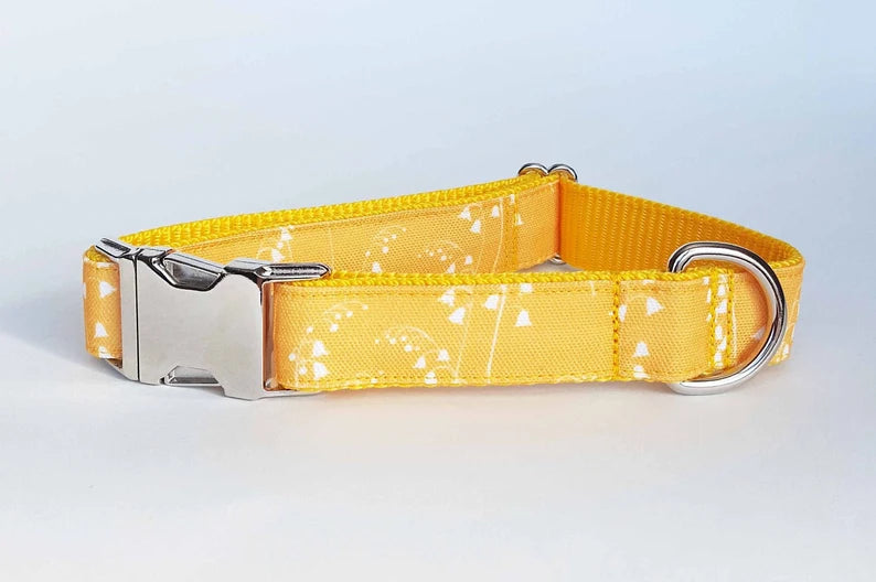 Yellow Bluebells collar