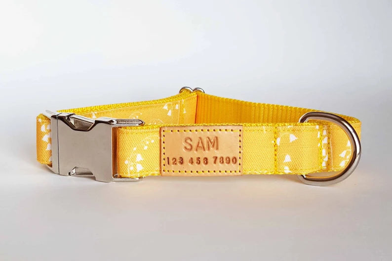 Yellow Bluebells collar