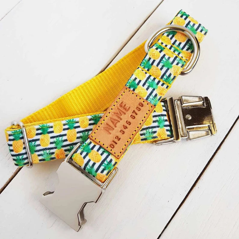 Pineapple Stripes collar