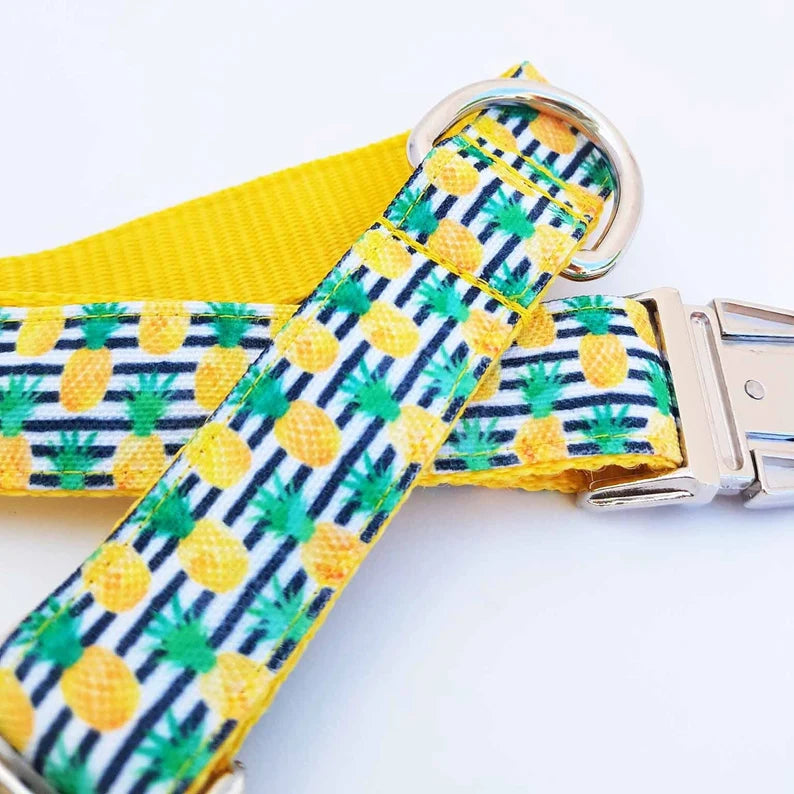 Pineapple Stripes collar