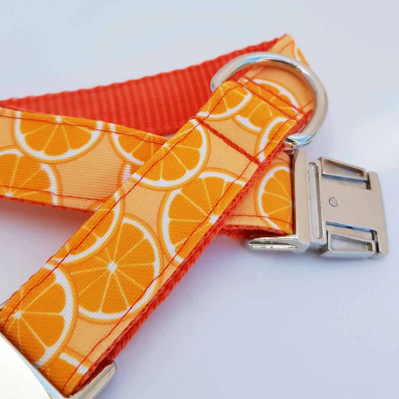 Oranges collar