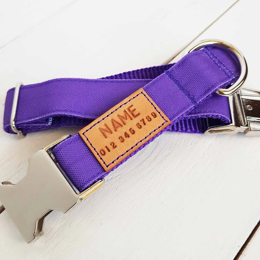 Solid Purple Dog Collar