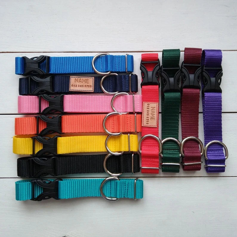 Vibrant Collars - no fabric just vibrant color webbing!