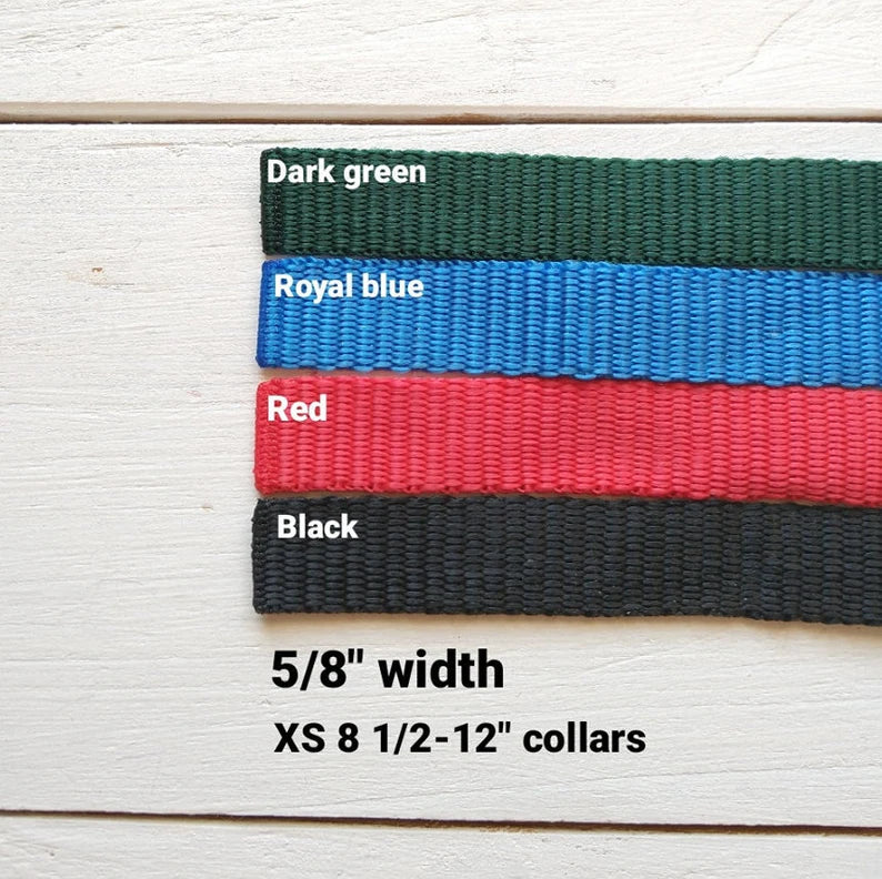 Vibrant Collars - no fabric just vibrant color webbing!