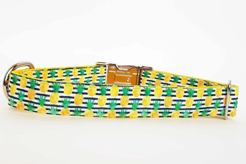 Pineapple Stripes collar