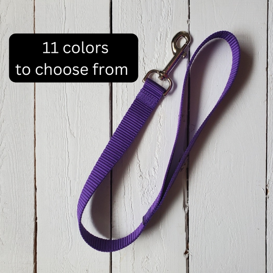 2 foot leash - traffic leash
