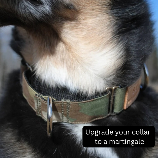 Martingale upgrade
